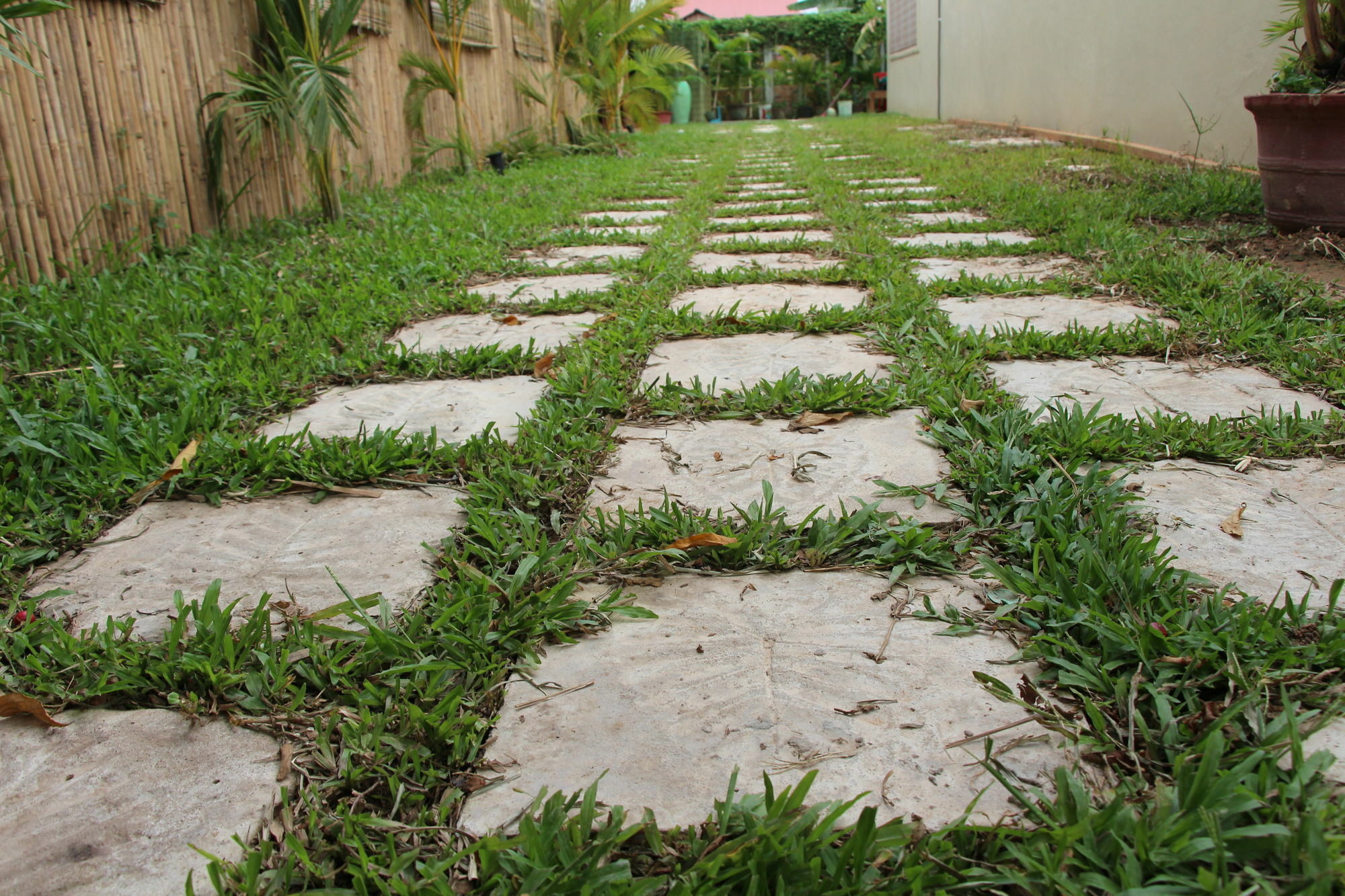 Areca Stay Siem Reap Eksteriør bilde